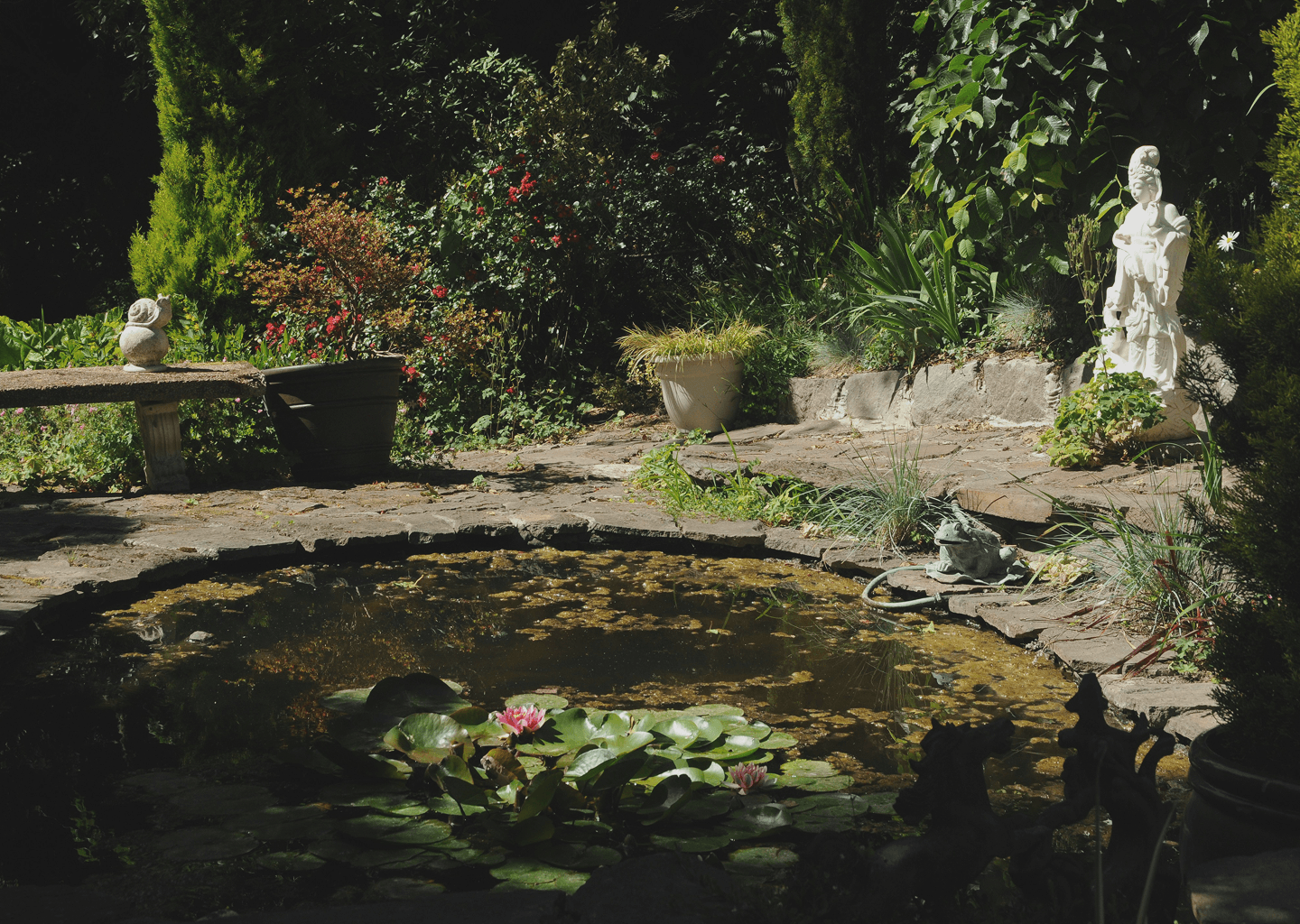 teich  und waßeranlagenbau in friedrichshafen
