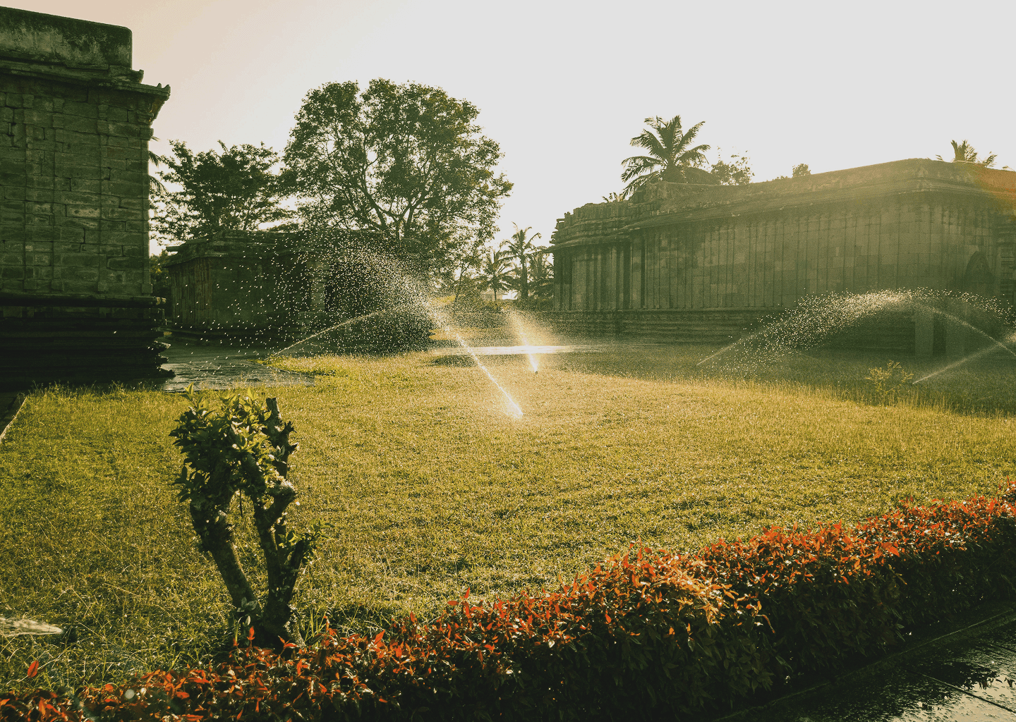 bewäßerungsanlagen in friedrichshafen