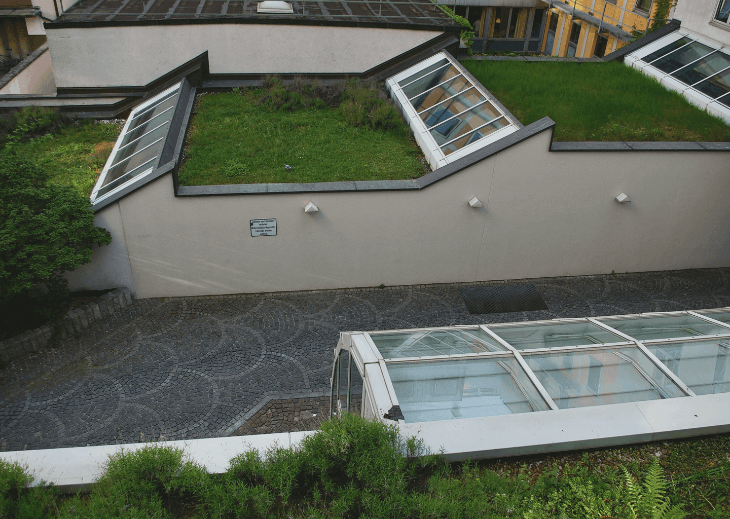 dachbegrünung in friedrichshafen